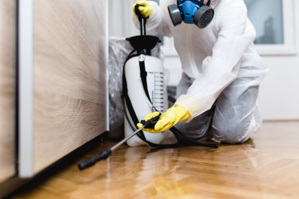 Best Cockroach Control Services  in Virginia Gardens, FL
