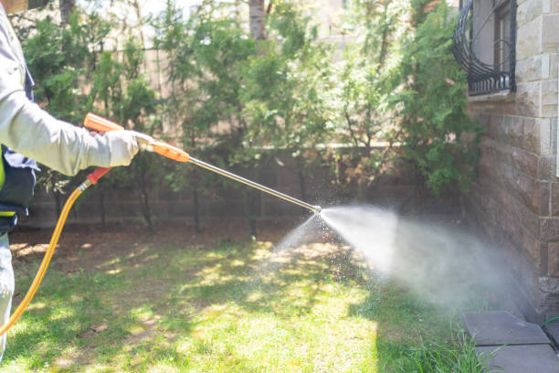 Best Affordable Pest Control Services  in Virginia Gardens, FL