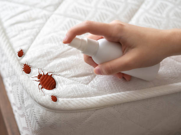 Best Pest Control Treatment  in Virginia Gardens, FL